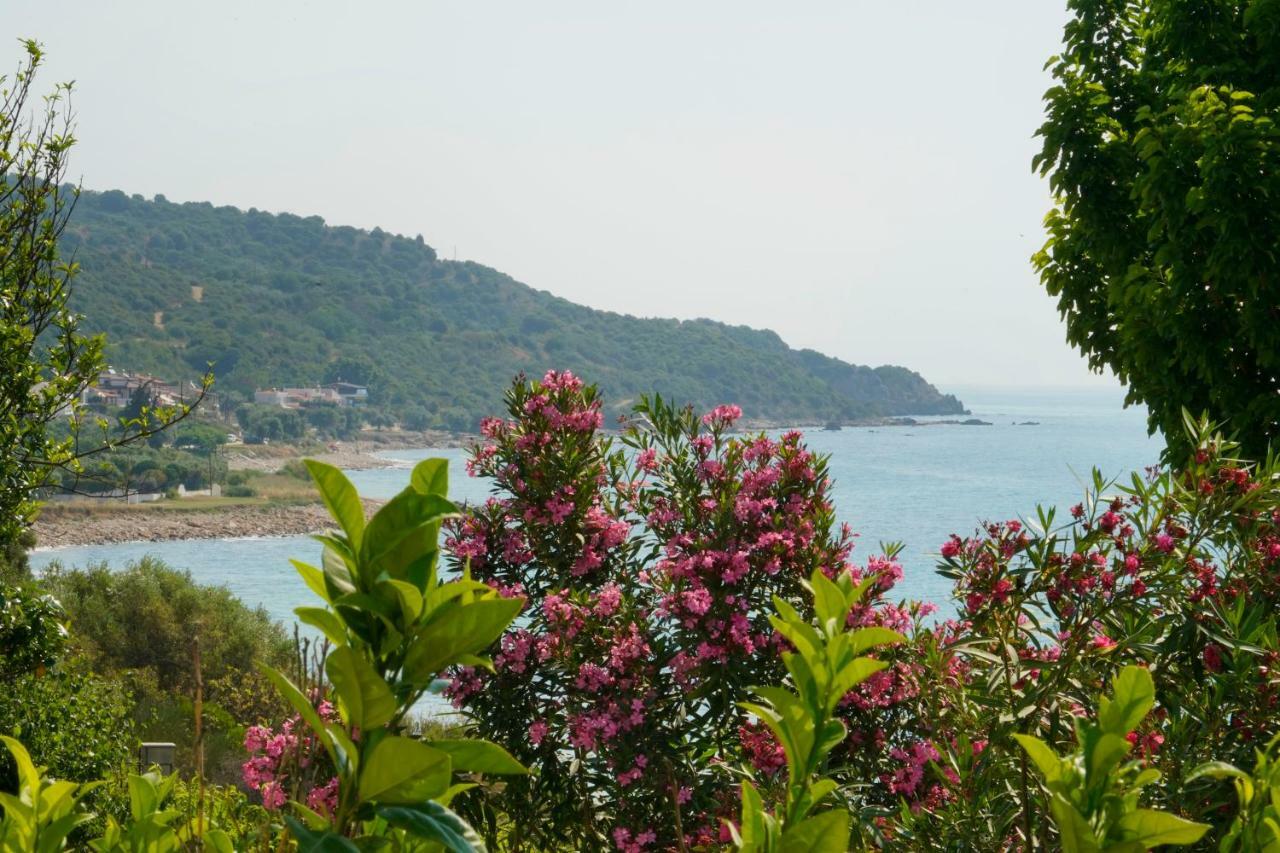 Secret Paradise Villas Loutra Elevtheron Buitenkant foto